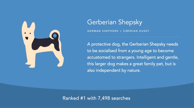 Gerberian Shepsky