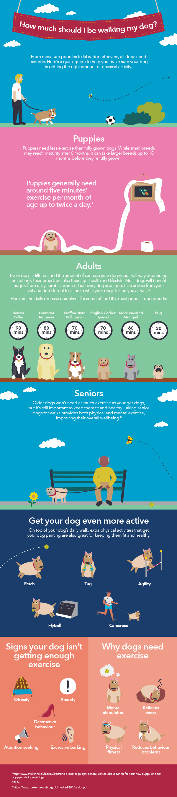 How much should I be walking my dog? The Hub